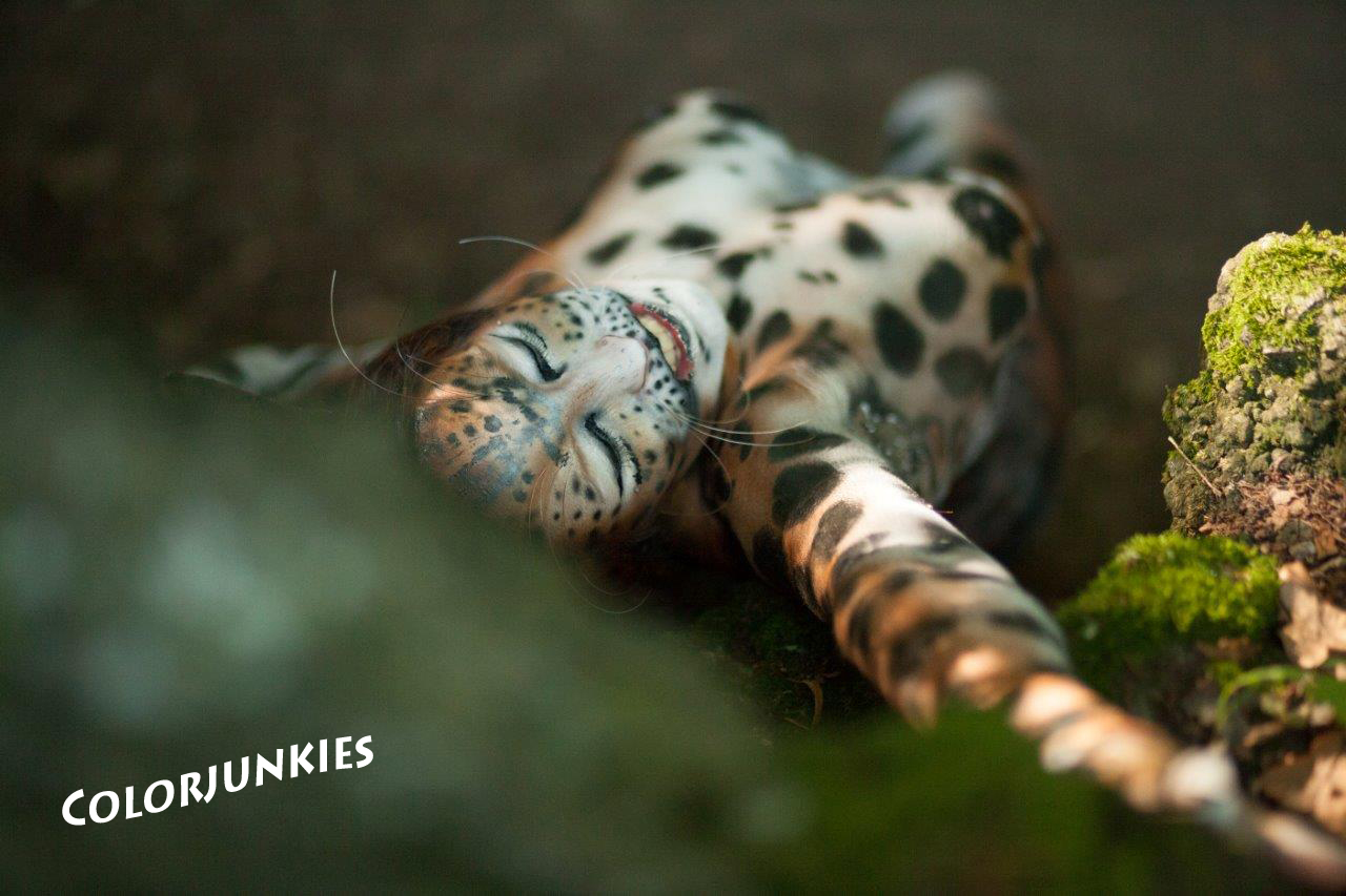 Bodypainting Leopard.